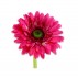 Květina gerbera