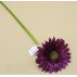 Květina gerbera