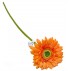 Květina gerbera
