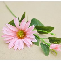 Květina rudbeckie