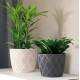 Obal na květník Flow Petit Eco Wood