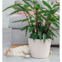 Obal na květník Mica Petit Eco Wood
